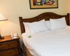pet friendly hotel in whistler, hotel whistler dogs allowed